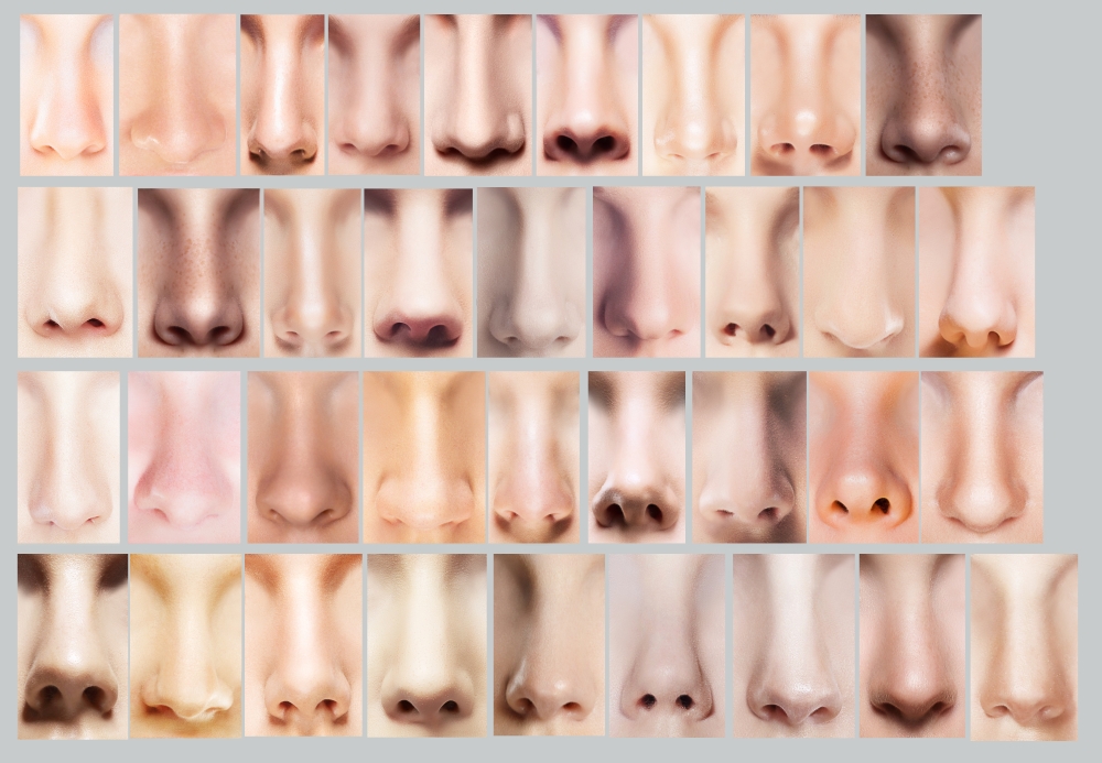 Body Parts. Great Variety of Women&#39;s Noses. Set of Nostrils
