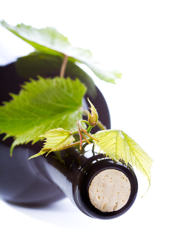 bottle of wine with leaves on white background