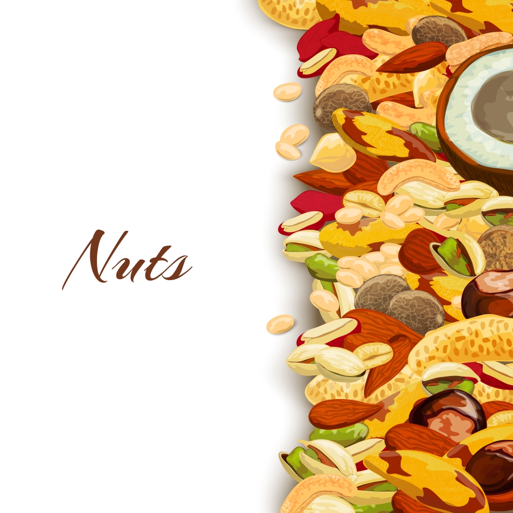 Nuts mix with peanut hazelnut pistachio coconut background vector illustration