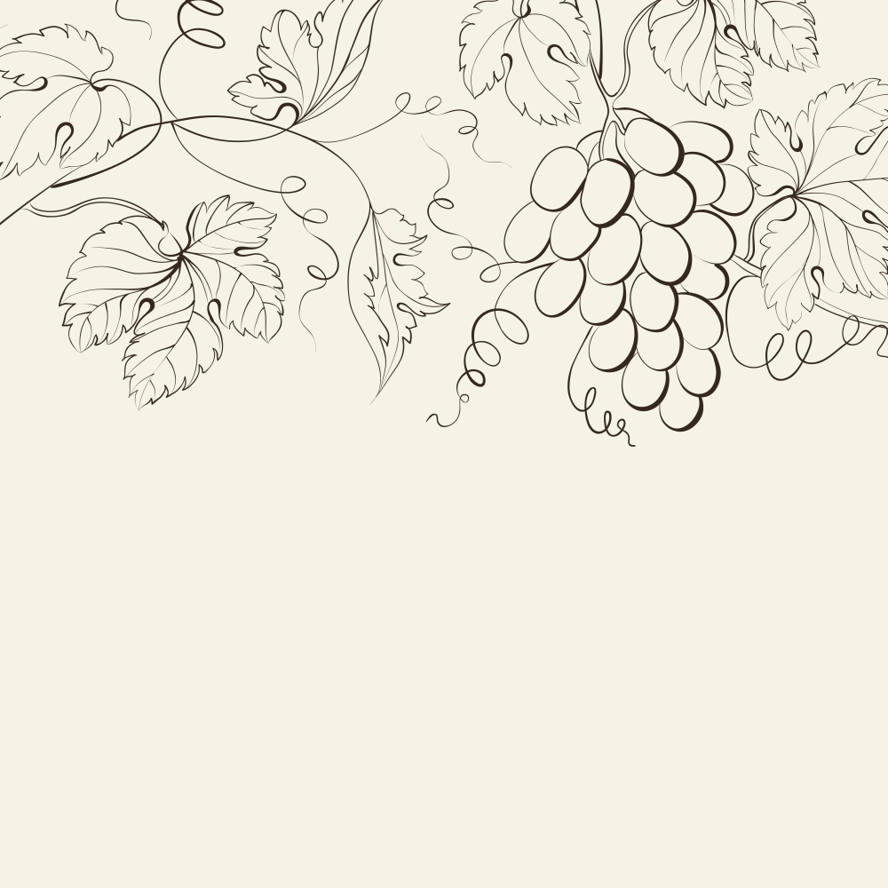 Engraving of grapes branch. Vector illustration.