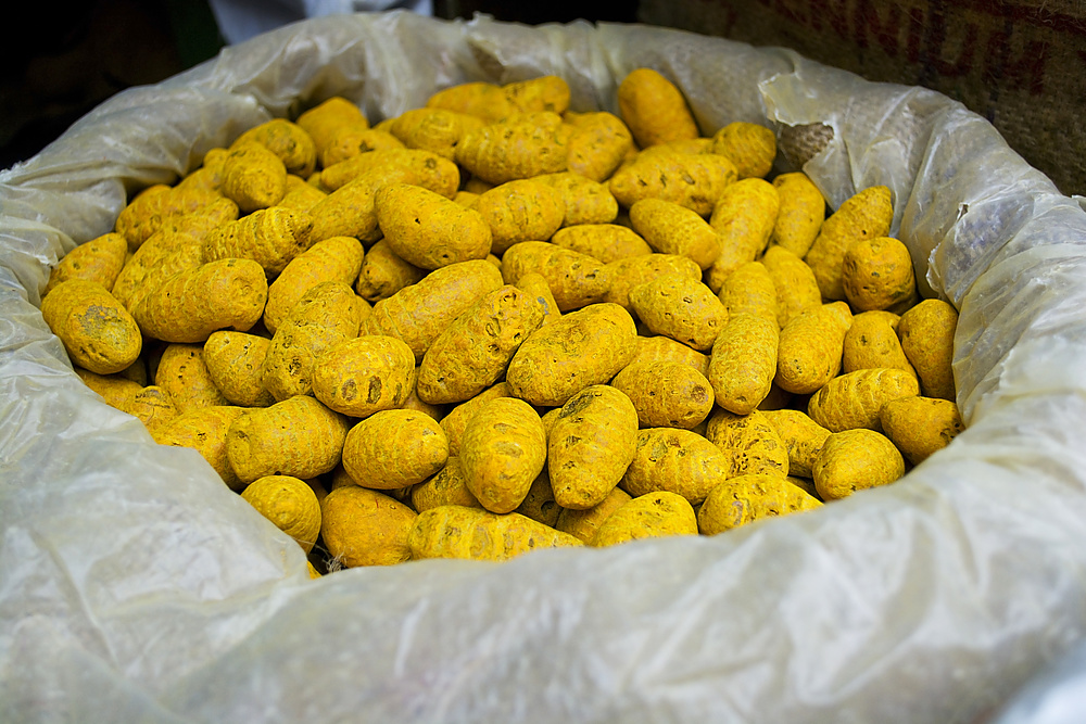 Turmeric root for sale at the market