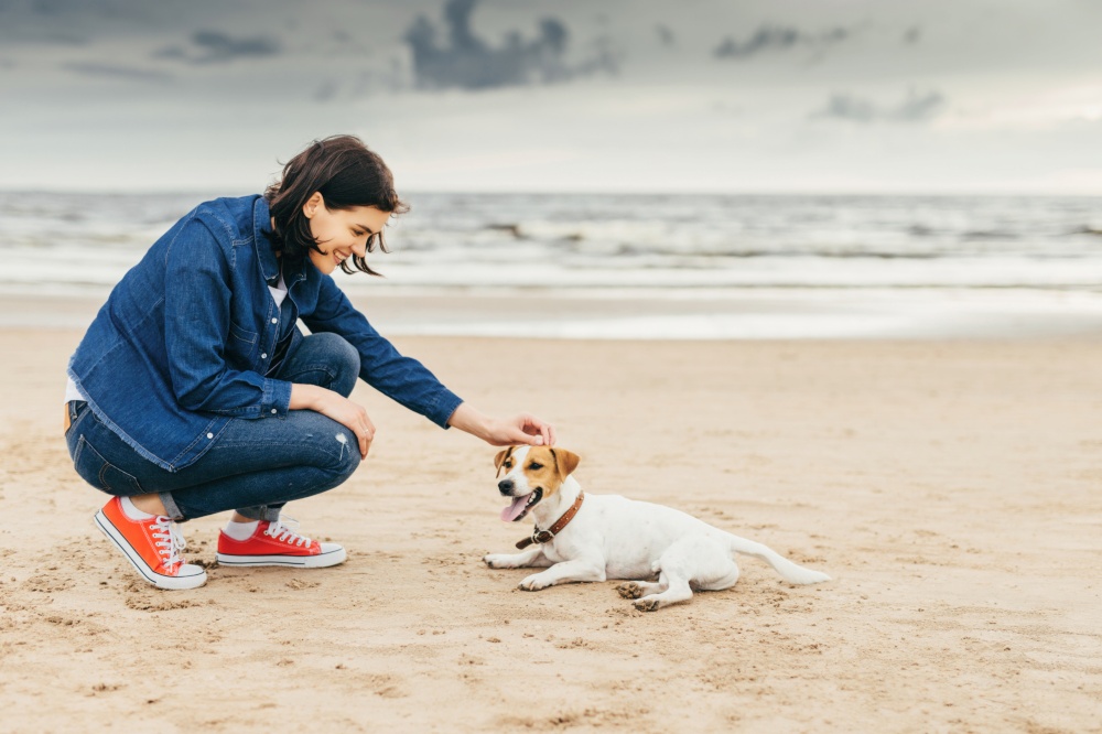 Woman in denim crouching on the beach, giving a treat to her joyful Jack Russell Terrier, showcasing a bond between owner and pet