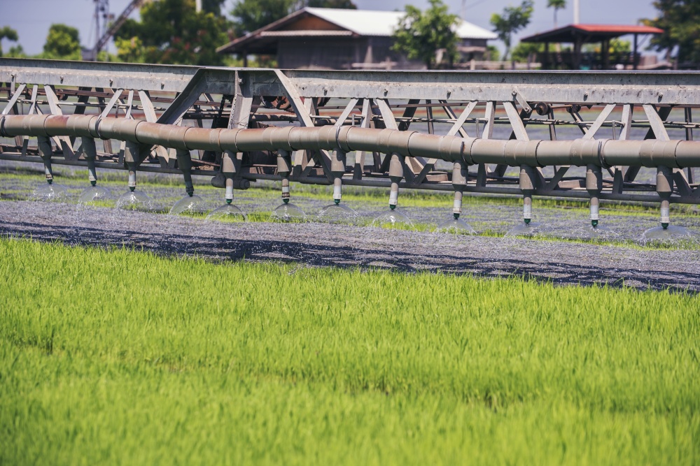 Green farm sprinkler automatic Watering machine Rice Field Green agriculture ecosystem Asian rice paddy field Thailand green farm. Harvest agriculture planting cultivation green rice terraces garden