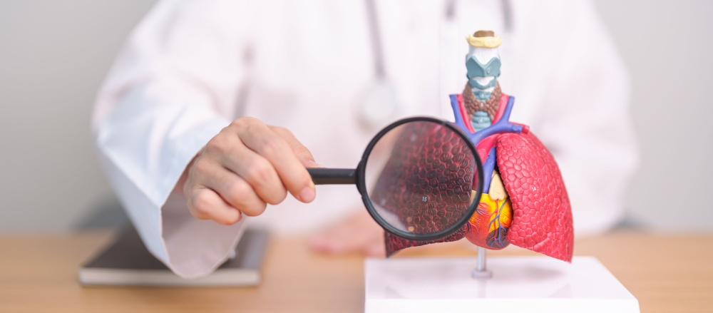 Doctor with Smoker Lung anatomy with magnifying glass. Lung Cancer, Asthma, Chronic Obstructive Pulmonary or COPD, Bronchitis, Emphysema, Cystic Fibrosis, Bronchiectasis, Pneumonia and world Lung day