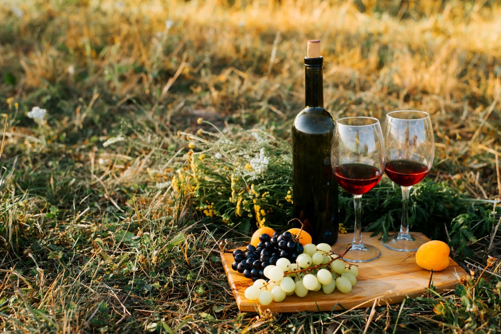 Picnic, romantic date outdoors. Still life bottle of red wine, two glasses, grapes, peaches on board in field at sunset outdoors, copy space.. Picnic, romantic date outdoors. Still life bottle of red wine, two glasses, grapes, peaches on board in field at sunset outdoors, copy space