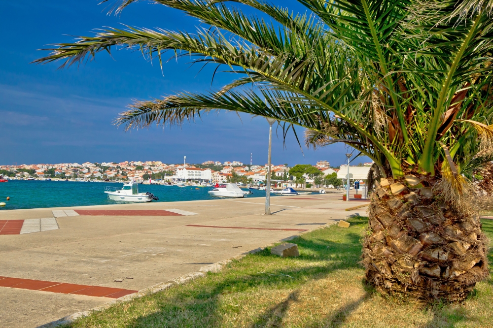 Town of Novalja palm waterfront view, island of Pag in Dalmatia, Croatia