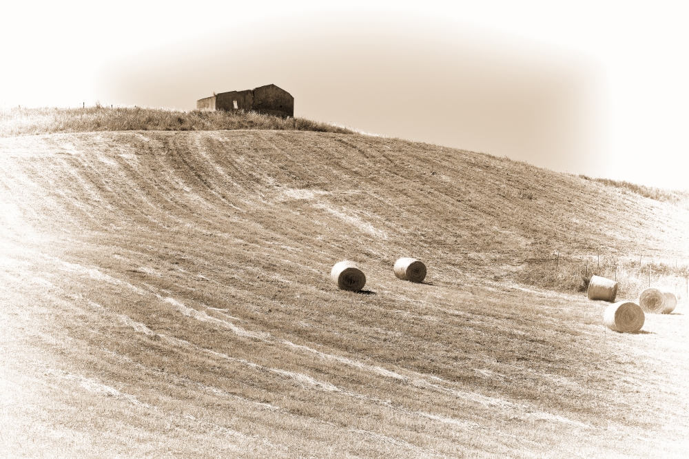 Landscape of Sicily with Many Hay Bales, Vintage Style Toned Picture