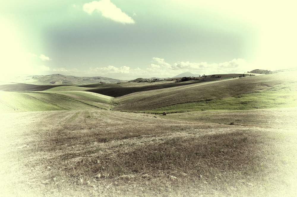 Wheat Fields on the Hills of Sicily, Vintage Style Toned Picture